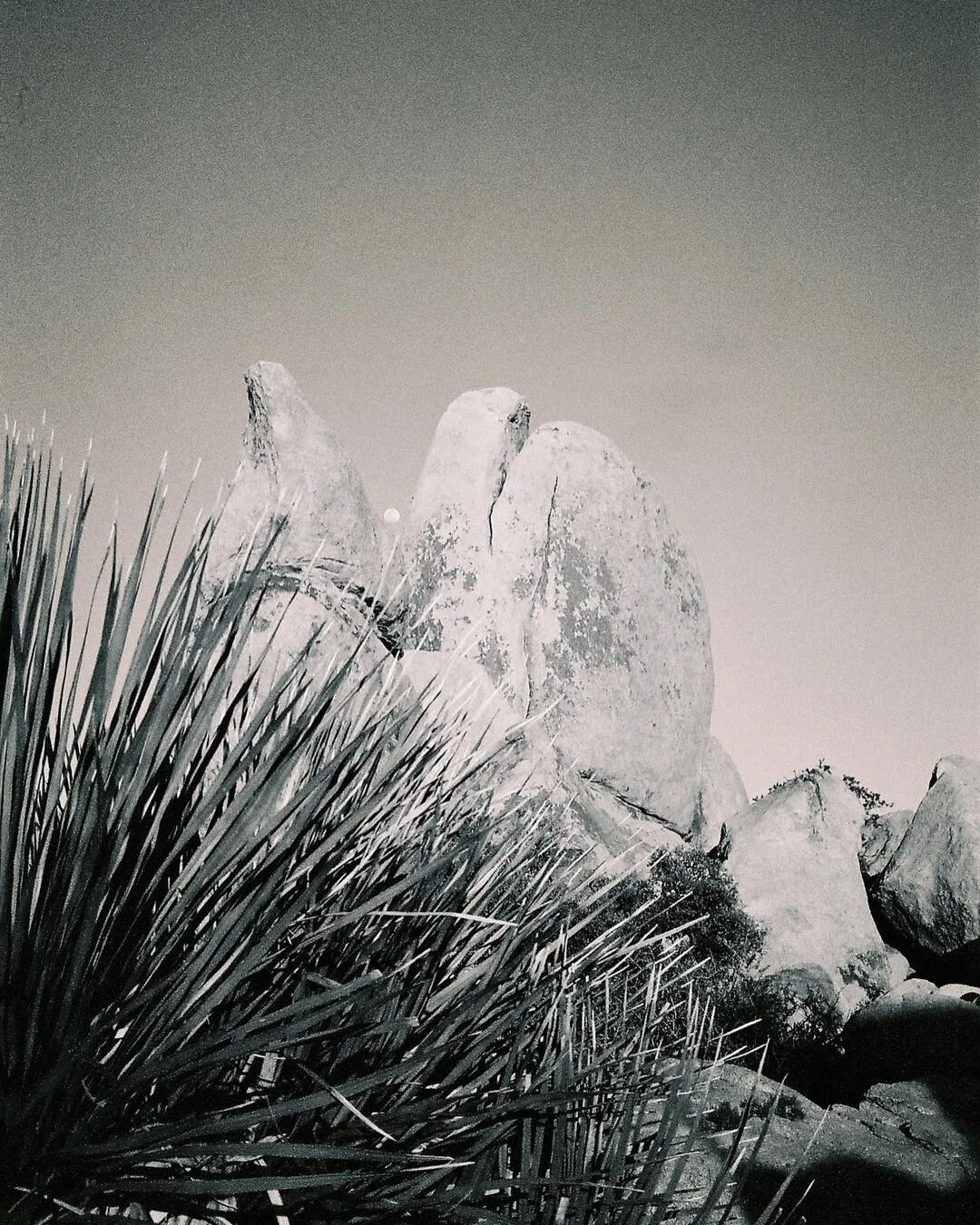 Nuit blanche à Paris