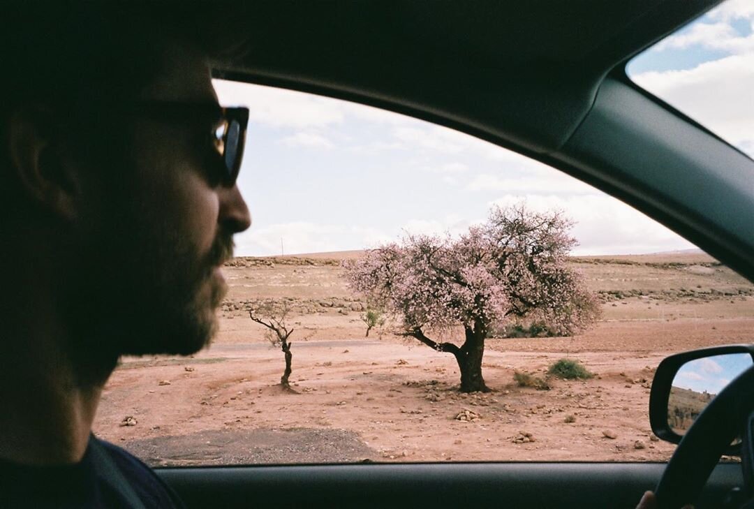 Langage de l’amandier