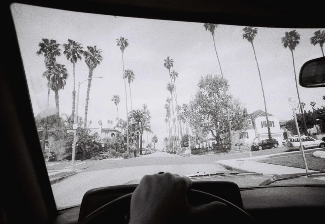 Se dégourdir les ailes