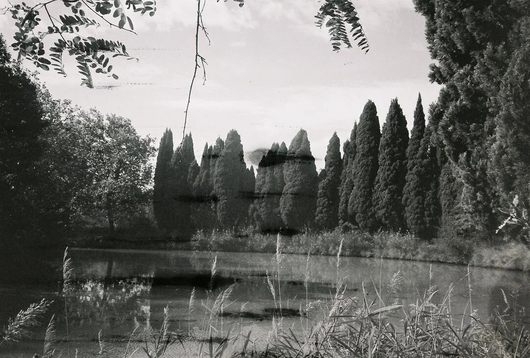 La mèche de la libraire