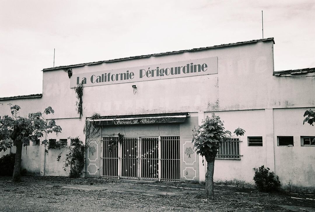 Richie Tempo Harmony