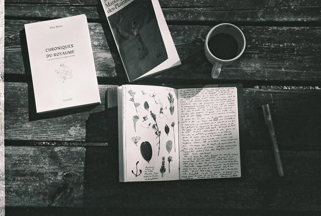 Le baiser volé des papillons