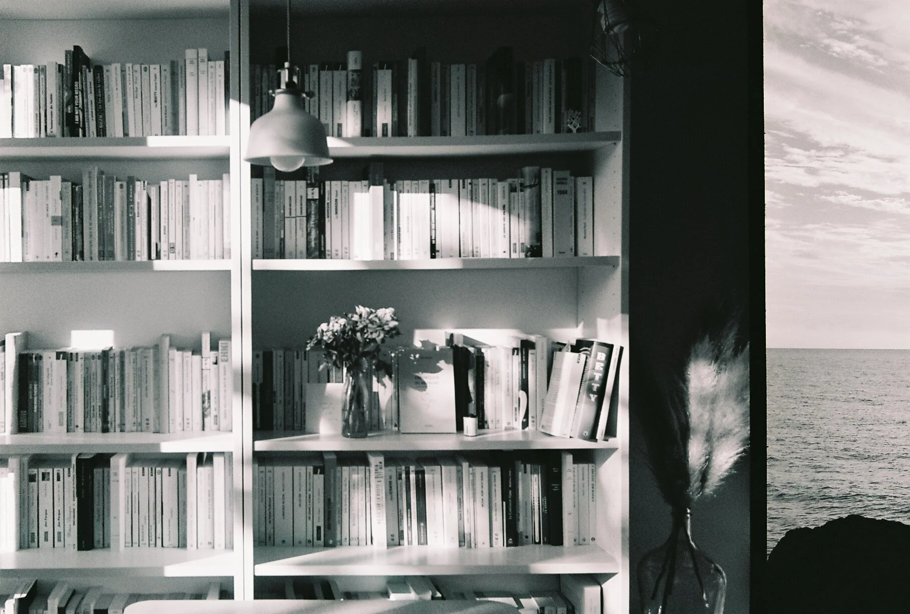 Chroniques du Royaume : où les trouver