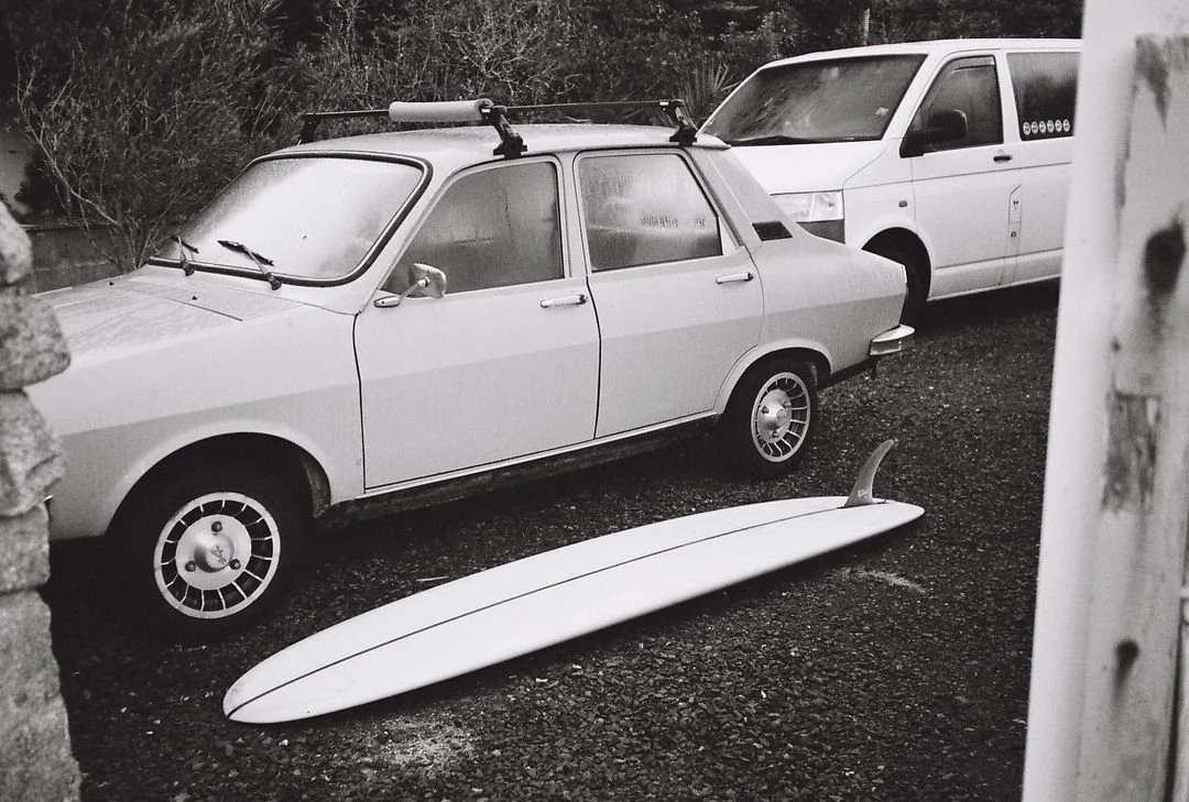 Ma langue au chat et à Robert