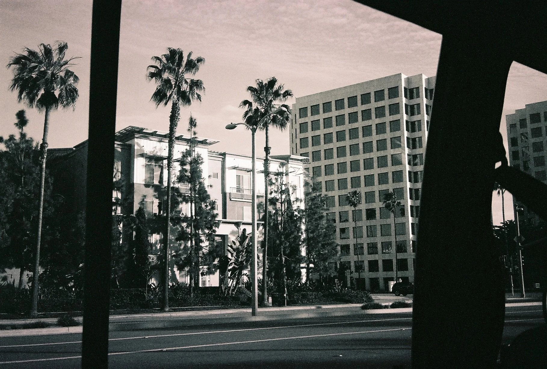 Crocs blancs et la rage dedans