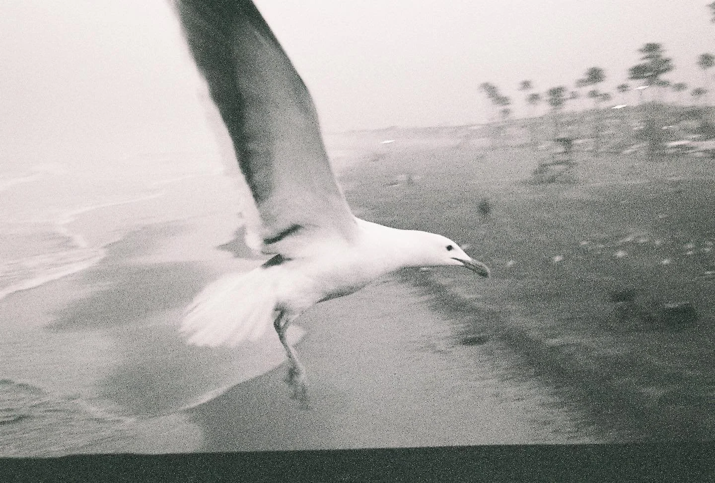 Haltérophile du spleen