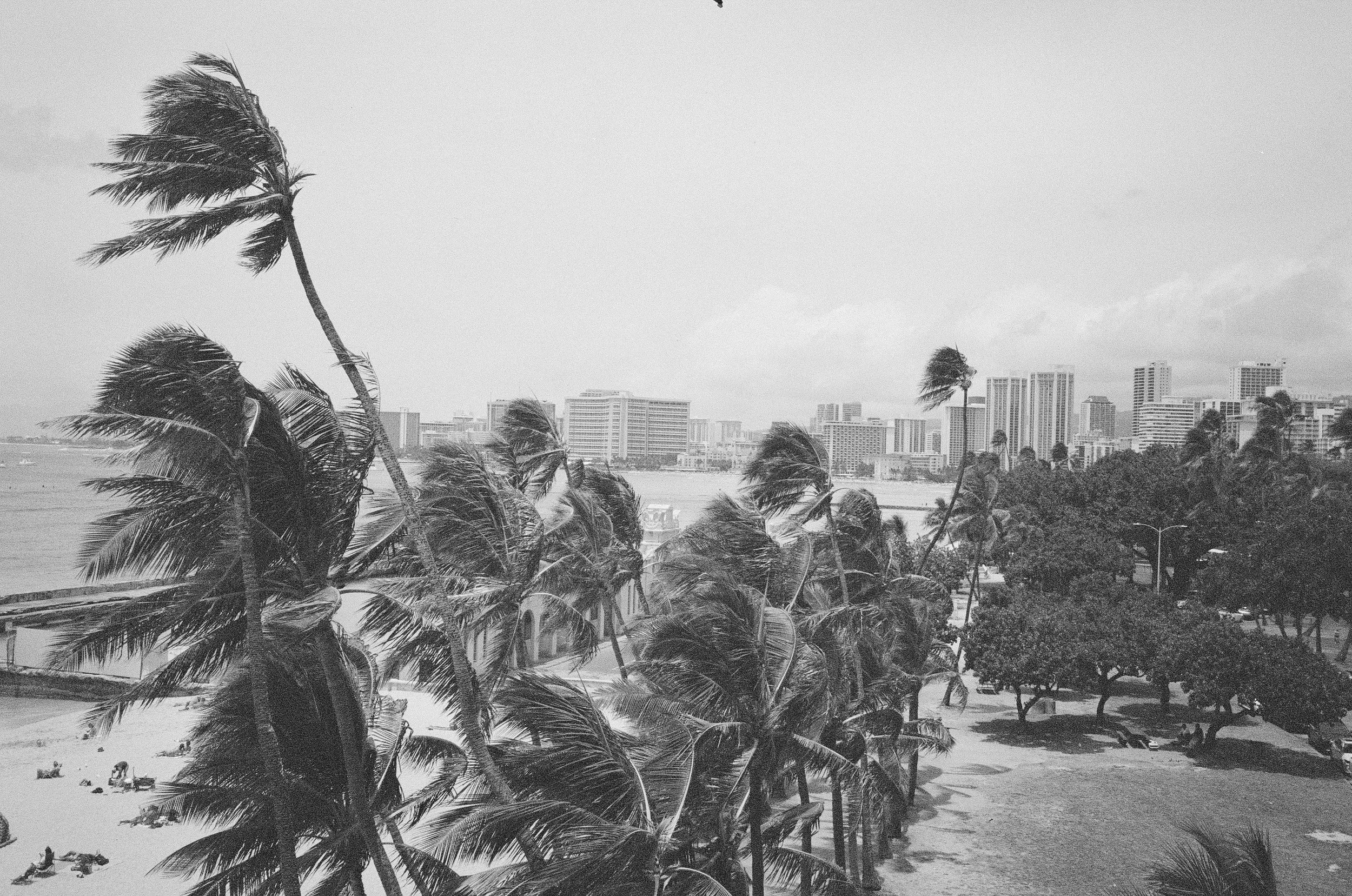 Le verre à moitié vide et les loyers modérés