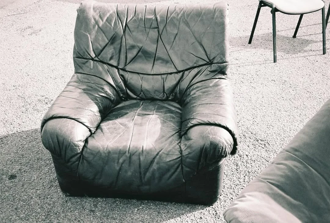 Mes lavandes sont partout