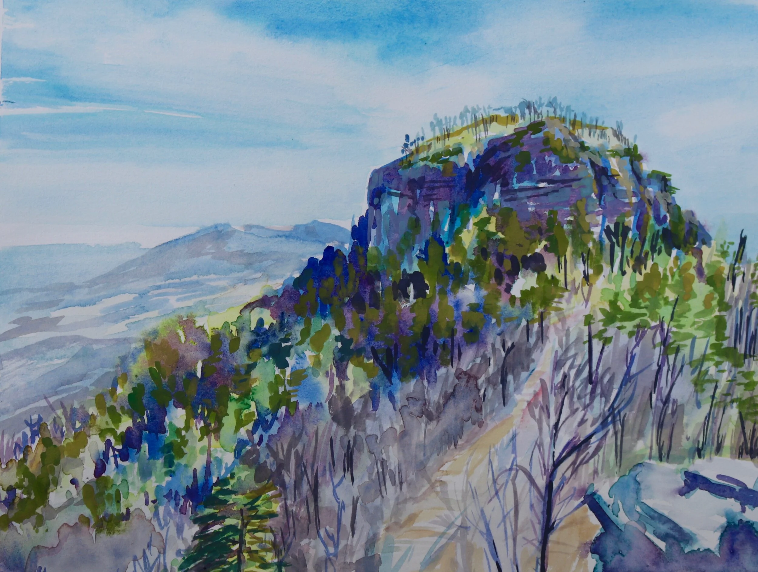 The Carolina Collection: Works on Paper