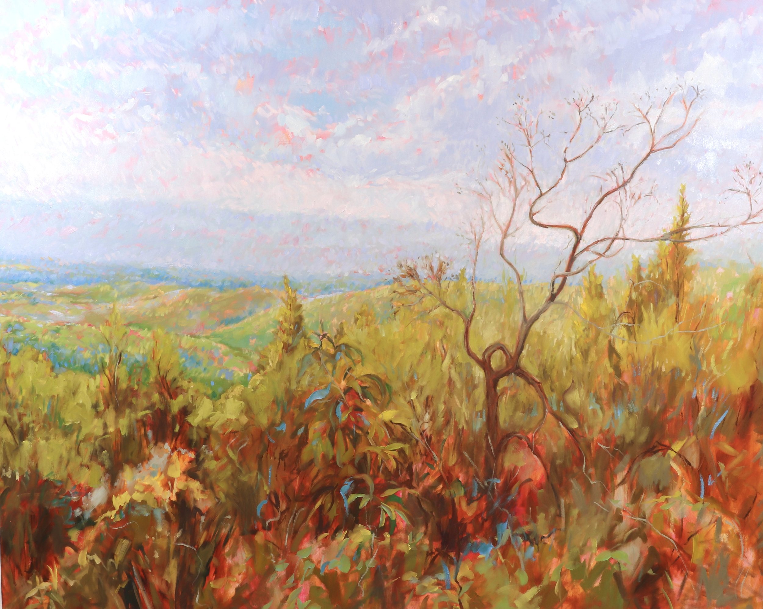 The-path-to-heaven-doesnt-lie-down-in-flat-miles-48x60-KatiePodracky-oil-on-canvas-blue-ridge-parkway.JPG