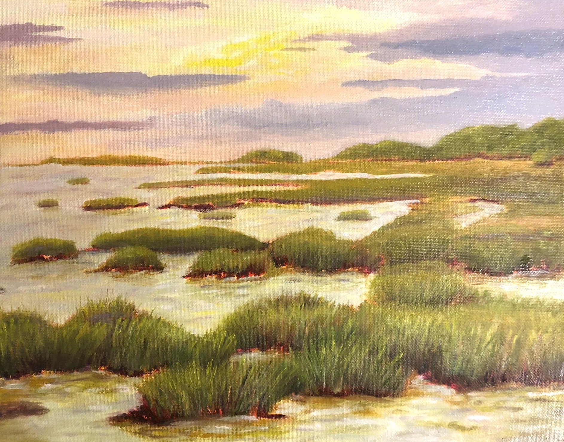 Barbara-Koch-marsh-beauty 2.jpeg