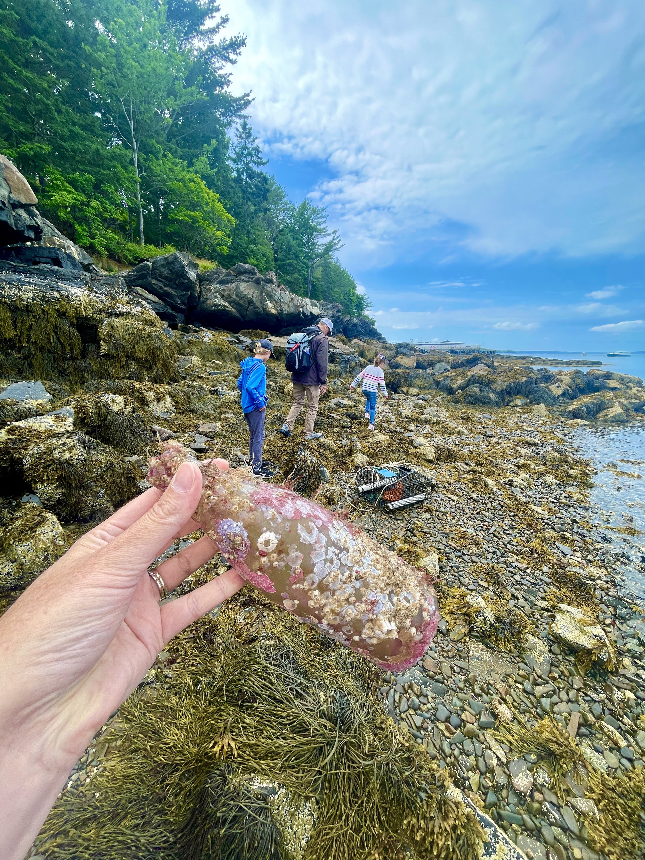 KatiePodracky-AmericanImpressionist-Bottle-Maine-BarHarbor.JPG