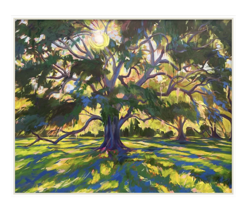 LIveOakTreeKomorebiFramed2.png