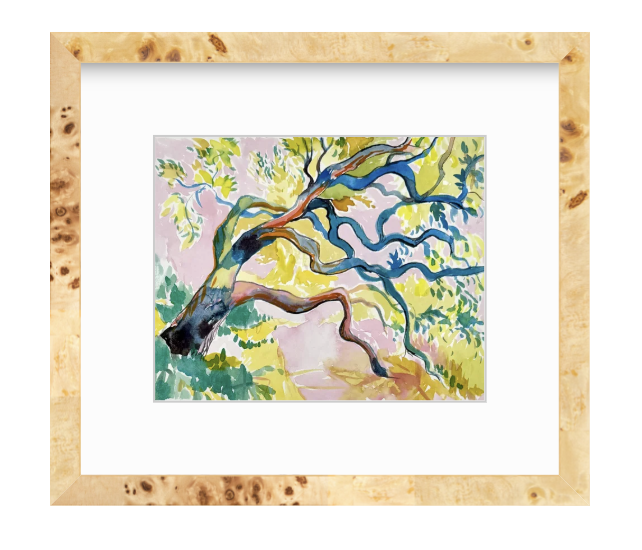 Sentinel2-LiveOakTree-Painting-Watercolor-KatiePodracky.png