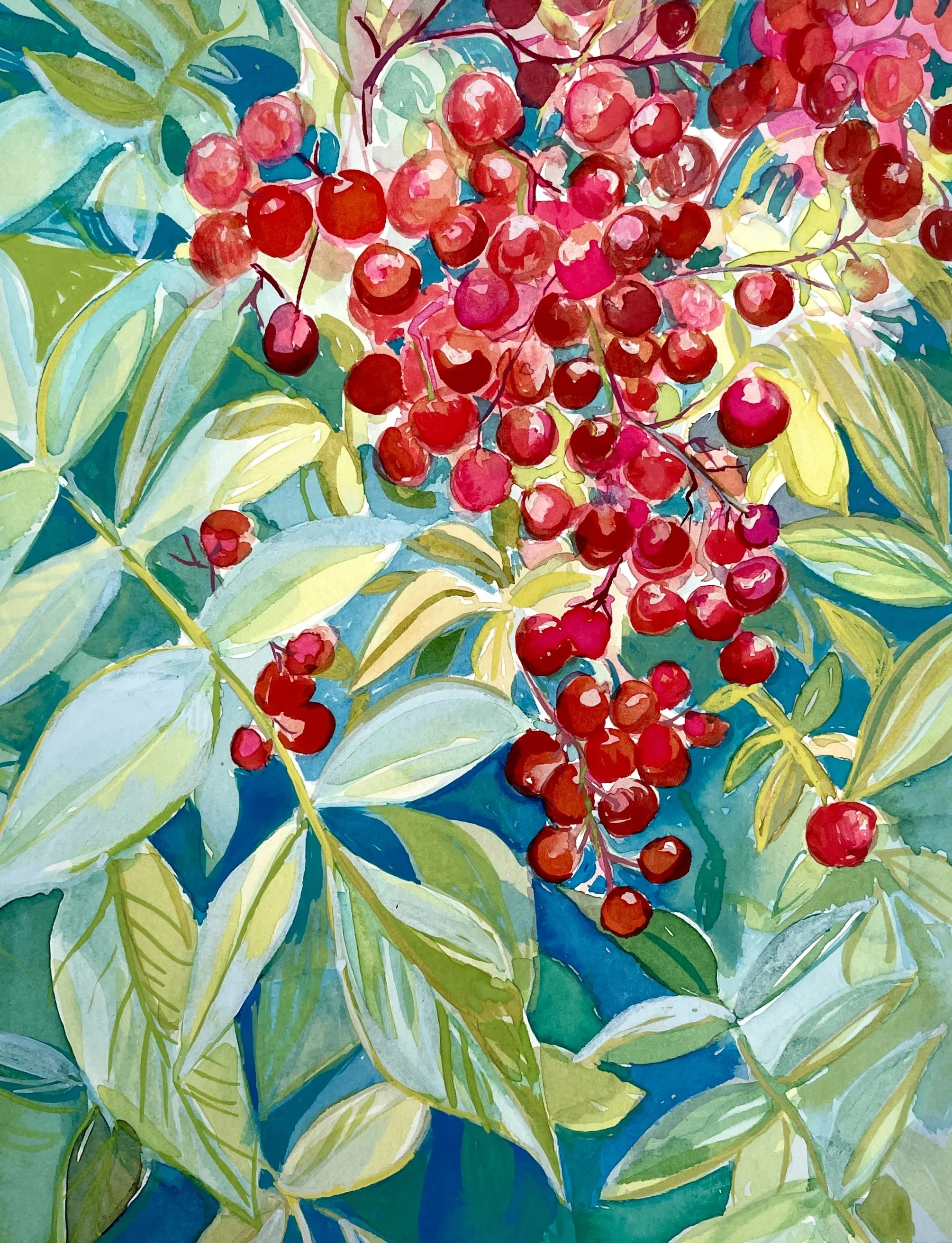 Berries-katiepodracky-art-2.JPG
