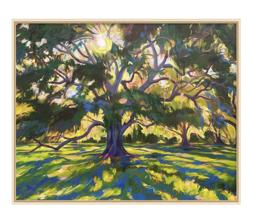 LiveOakTreeKomorebiFramed.png