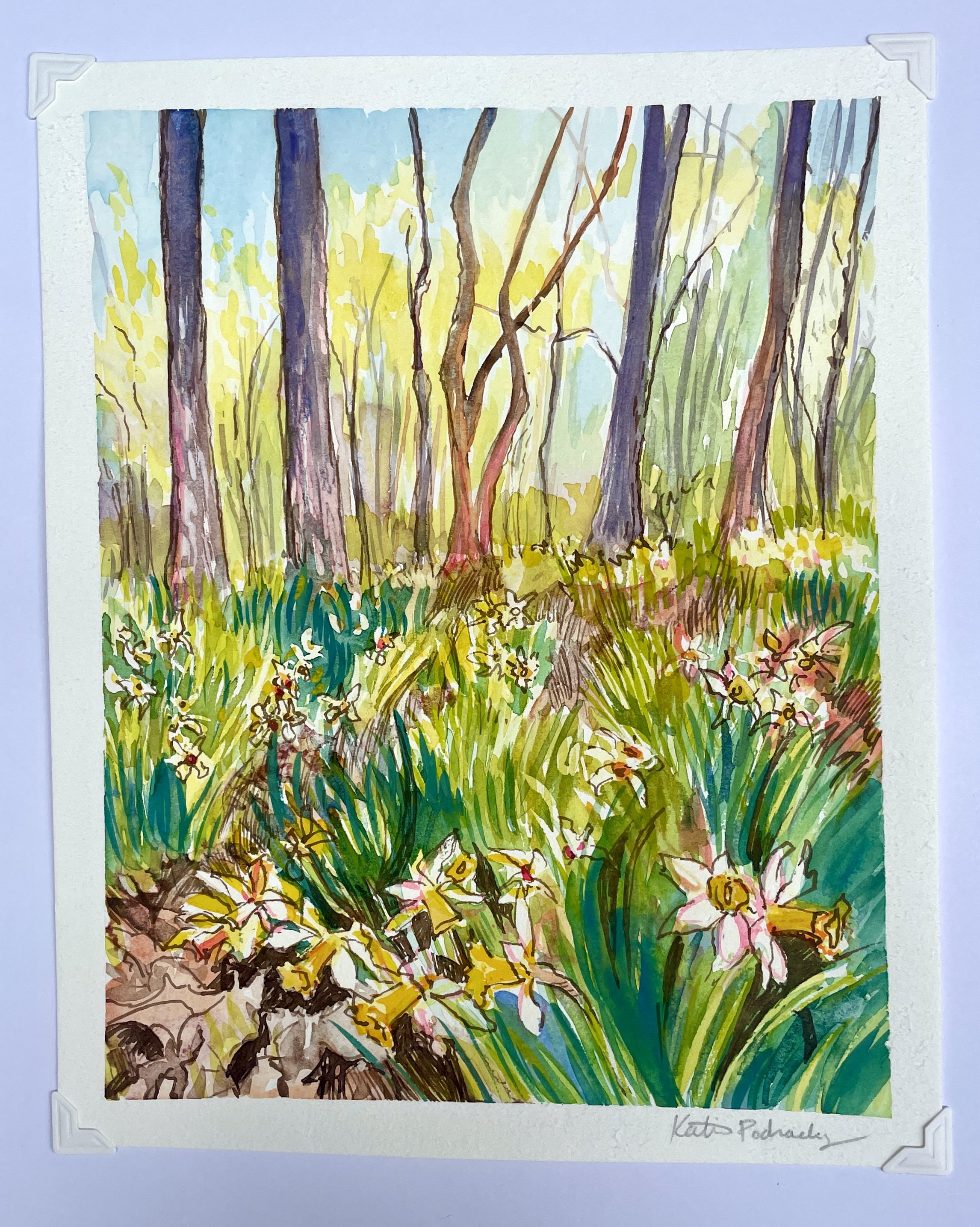 reynolda-house-daffodils-spring-KatiePodracky-painting.JPG