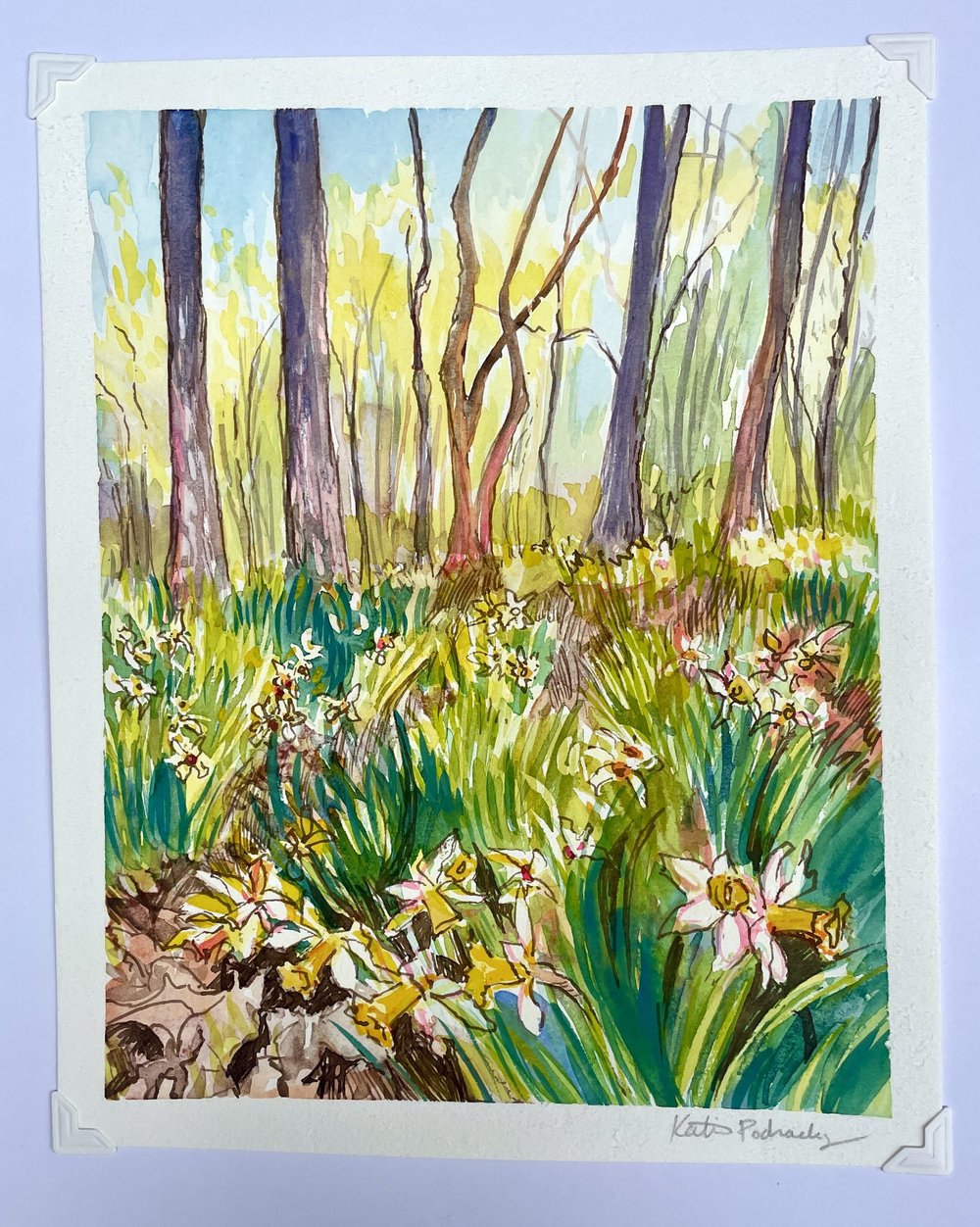 reynolda-house-daffodils-spring-KatiePodracky-painting.JPG