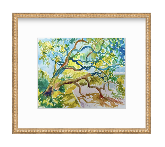 LiveOakTreePainting-KatiePodracky-Sentinel1.png