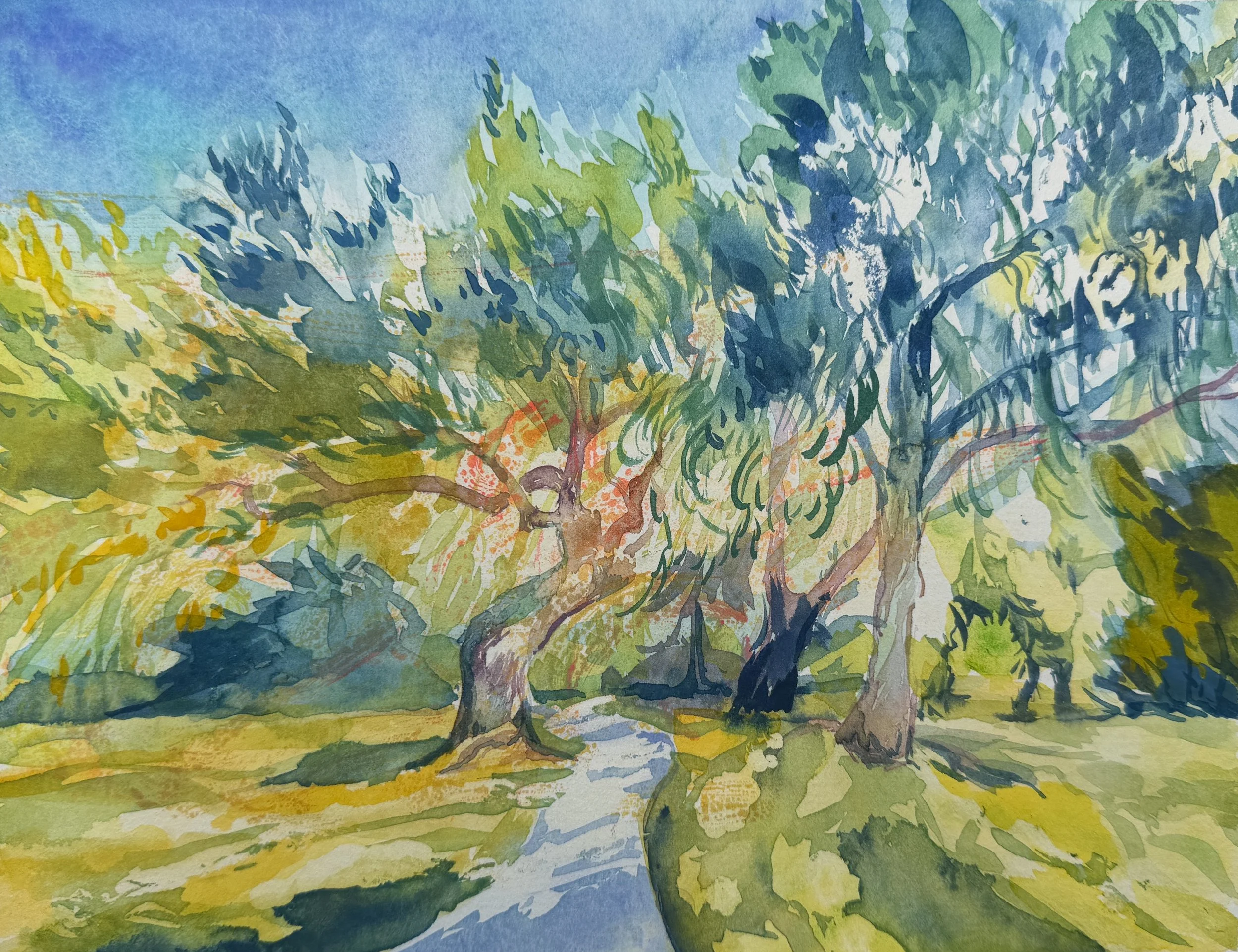 Southern Forest Bathing