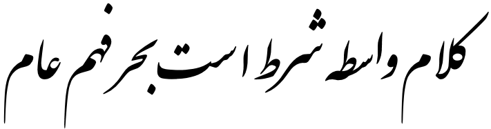 Learning a language is your ferry across the sea of human understanding. Don’t miss it. – Rumi