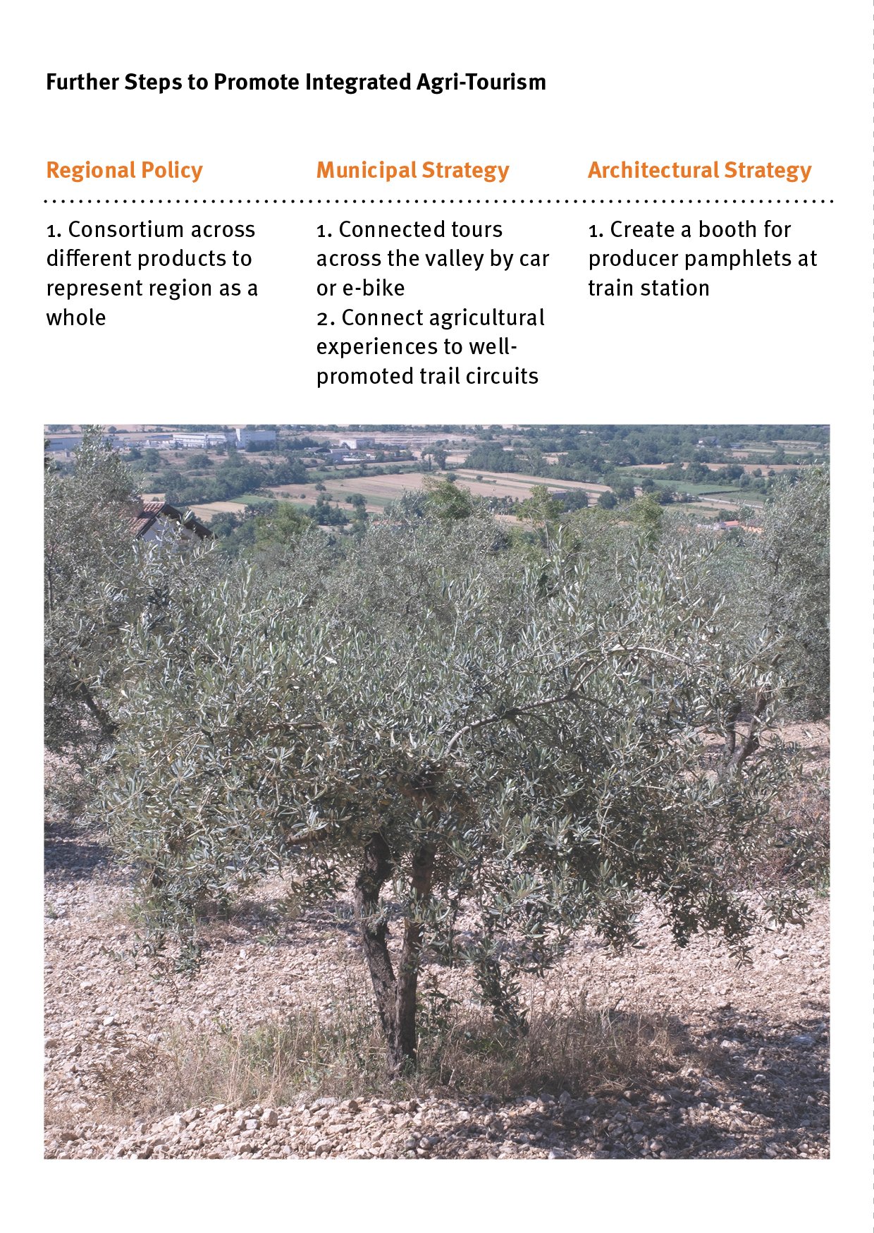 02. RESILIENCE FOR SMALL-SCALE FARMING ENGLISH32.jpg