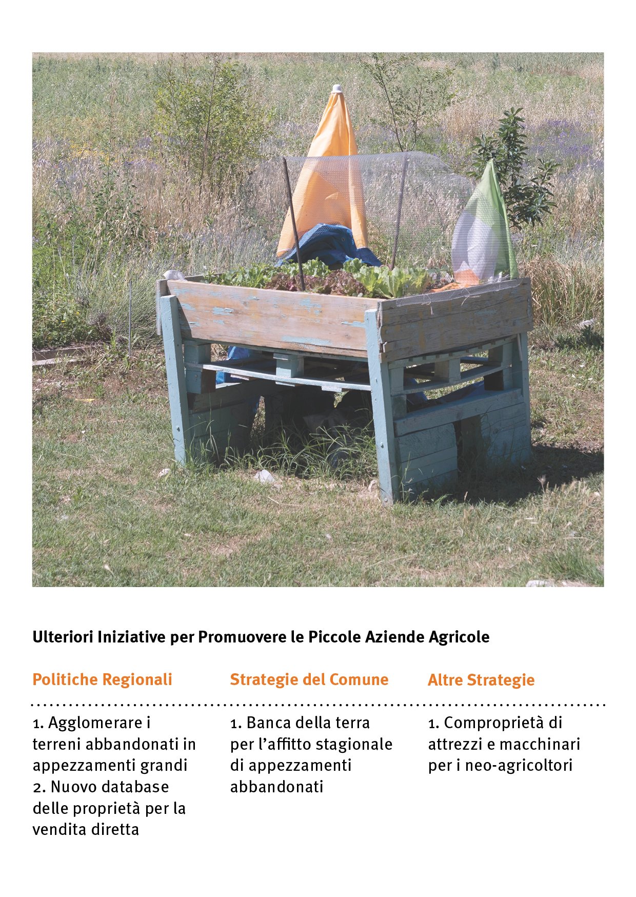 02. RESILIENCE FOR SMALL-SCALE FARMING ITALIANO28.jpg
