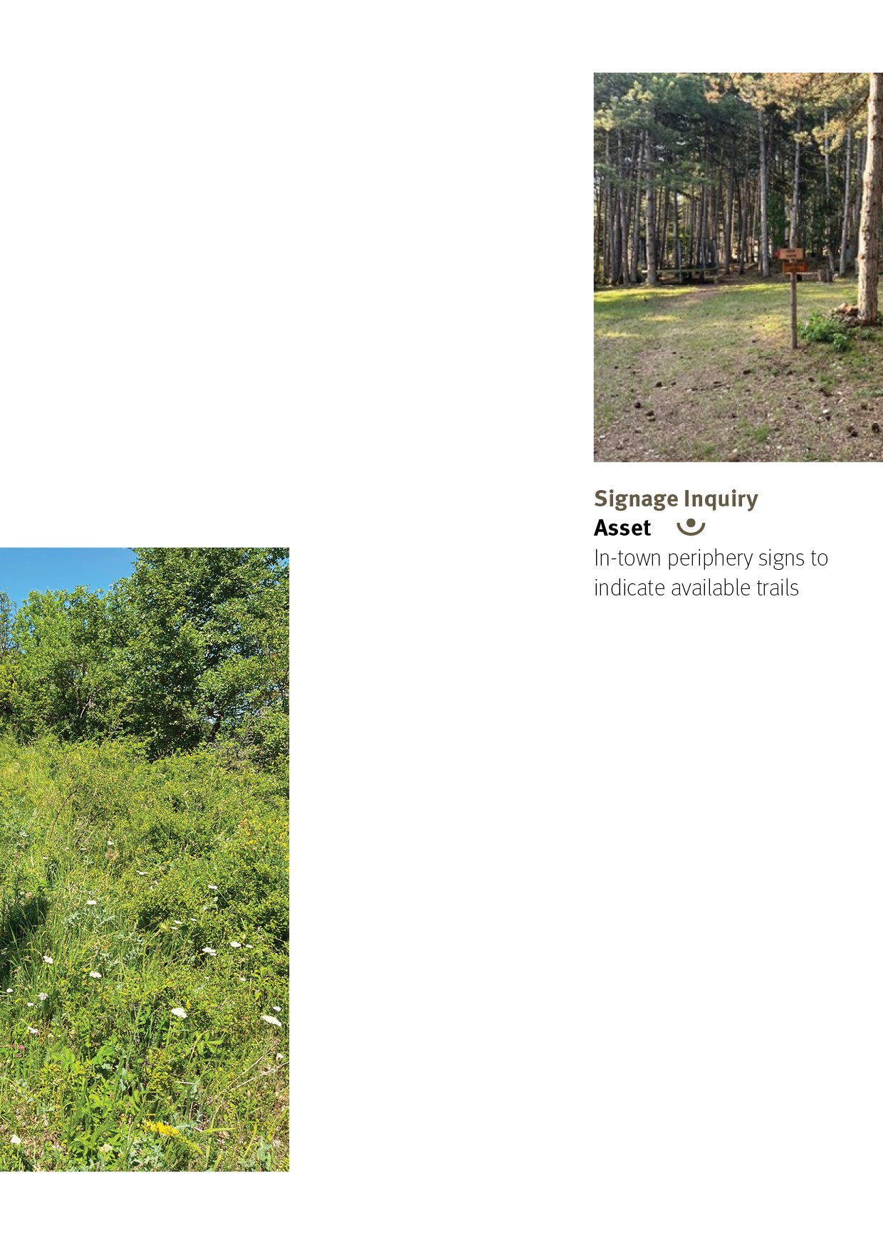 01. TRAILS AS A GENERATIVE SYSTEM ENGLISH20.jpg