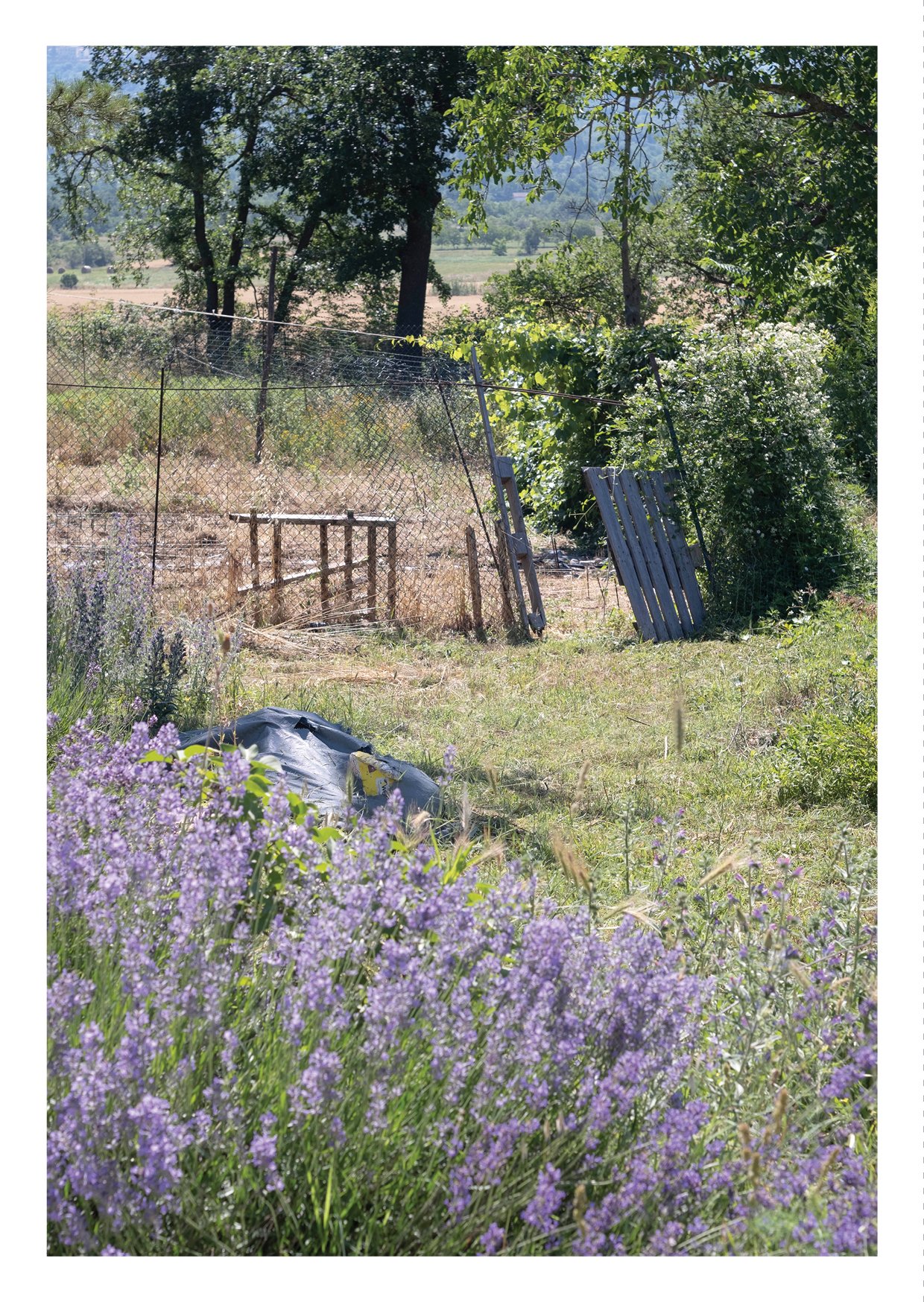 02. RESILIENCE FOR SMALL-SCALE FARMING ENGLISH22.jpg