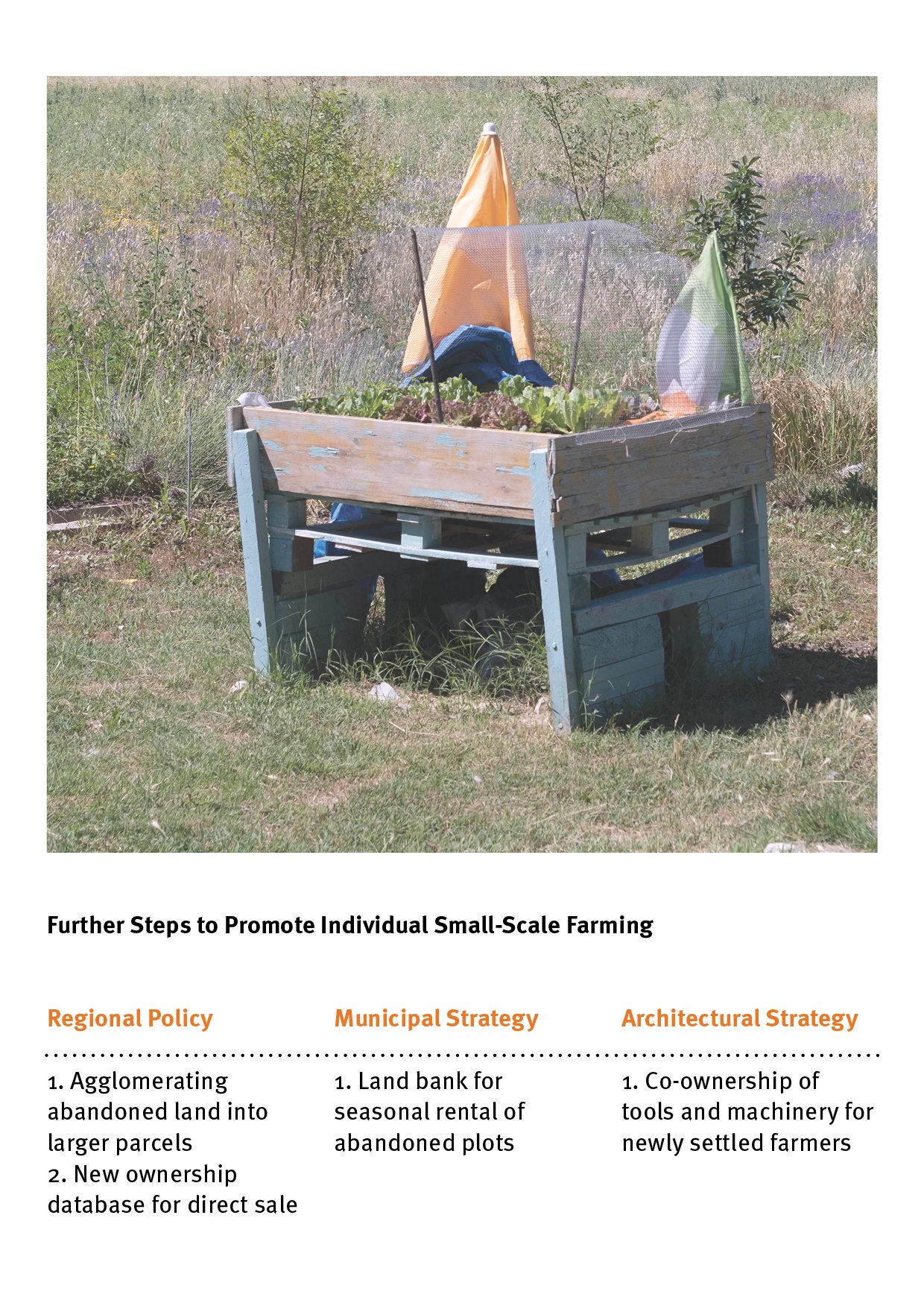02. RESILIENCE FOR SMALL-SCALE FARMING ENGLISH28.jpg