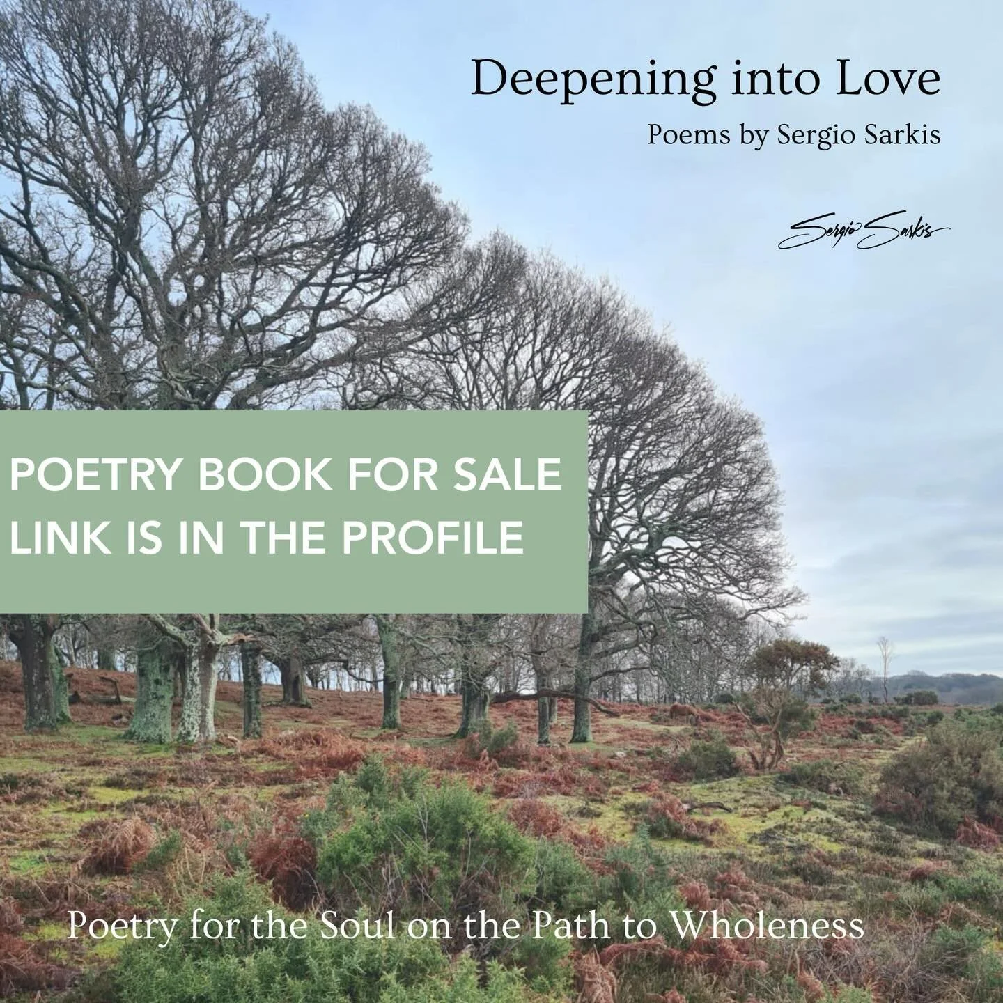 Super excited to have my book finished and available for purchase. 

#deepeningintolove #sergiosarkis #lovepoetry #rumipoems #hafiz
