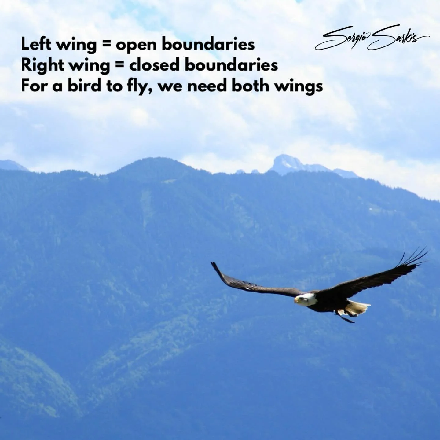 Left wing = open boundaries 
Right wing = closed boundaries
For a bird to fly, we need both wings

#sergiosarkis #balanced #birdsofinstagram #politicalpsychology #psychological