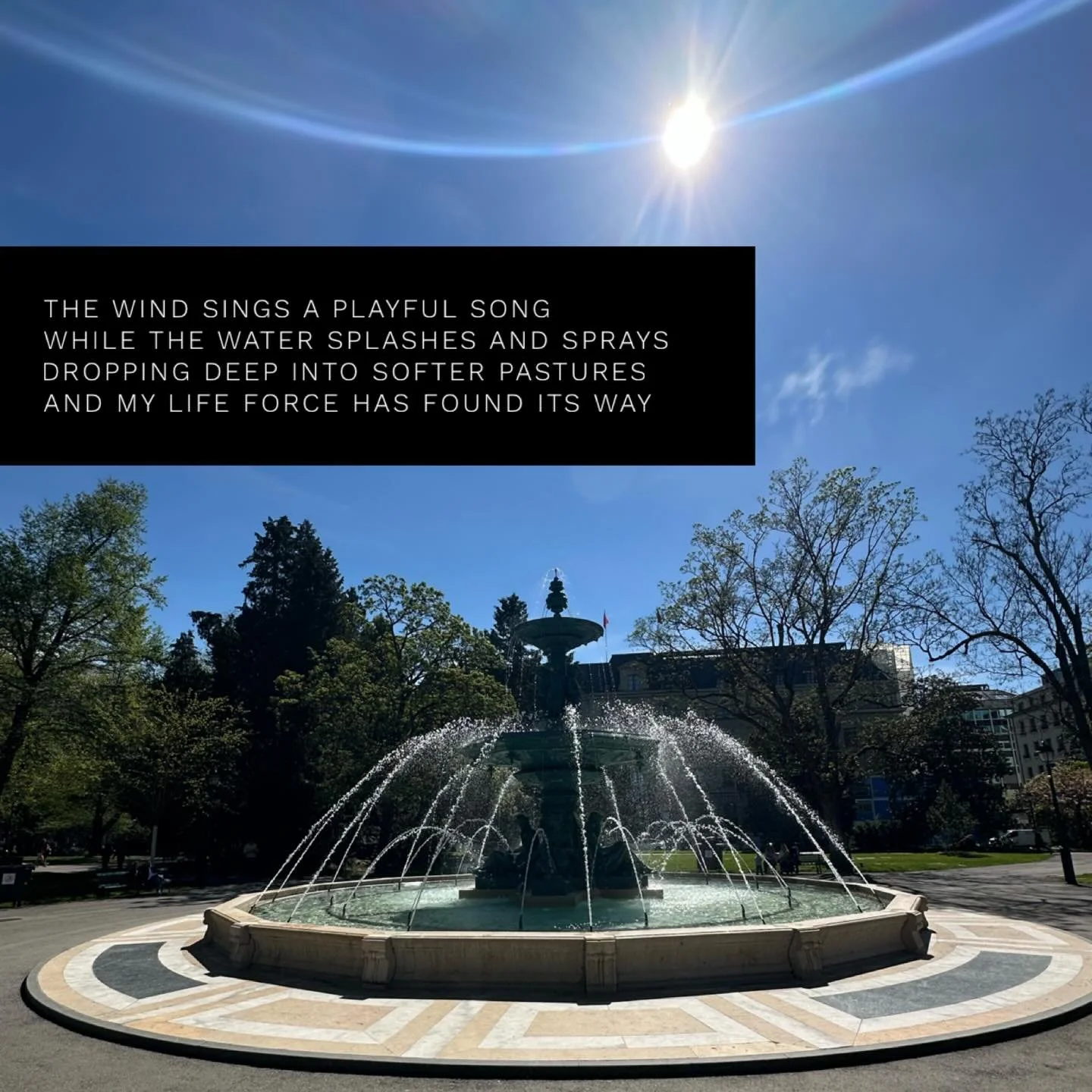 The wind sings a playful song
While the water splashes and sprays
Dropping deep into softer pastures
And my life force has found its way

(c) Sergio Sarkis

#sergiosarkis #lovepoetry #rumipoems #carpediem #carped&iacute;em