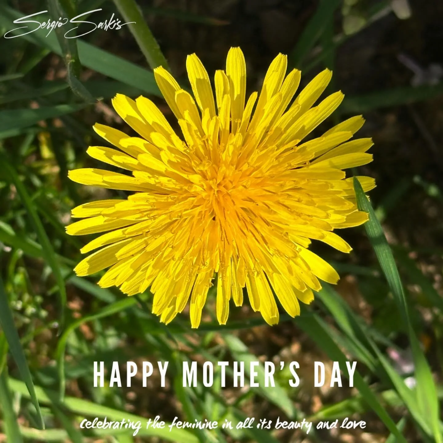 Happy Mother&rsquo;s Day! 

#sergiosarkis #mothersday #feminineembodiment #feminineenergy #celebratingfemininity
