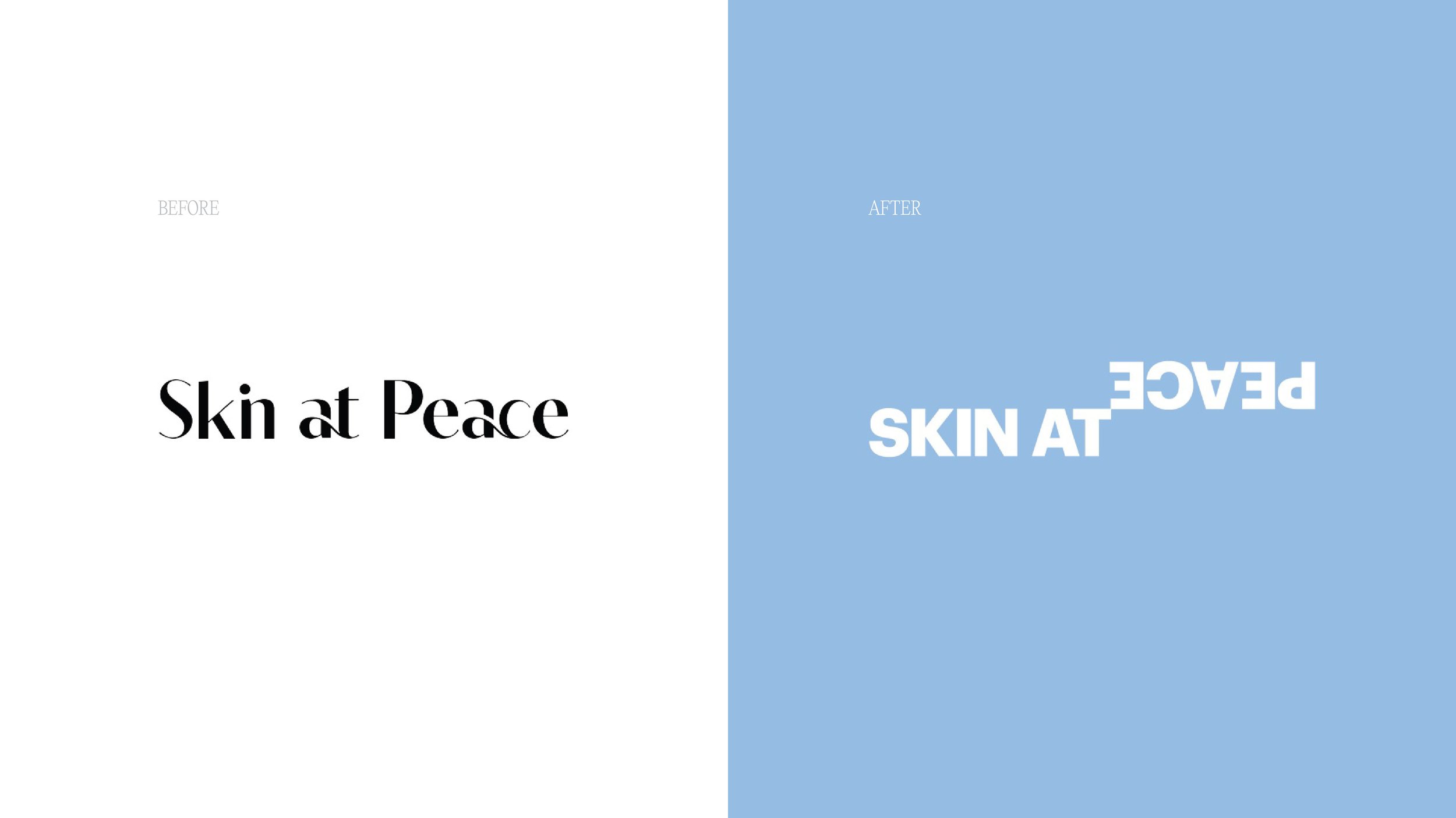 SKP_case_v copy 2.jpg