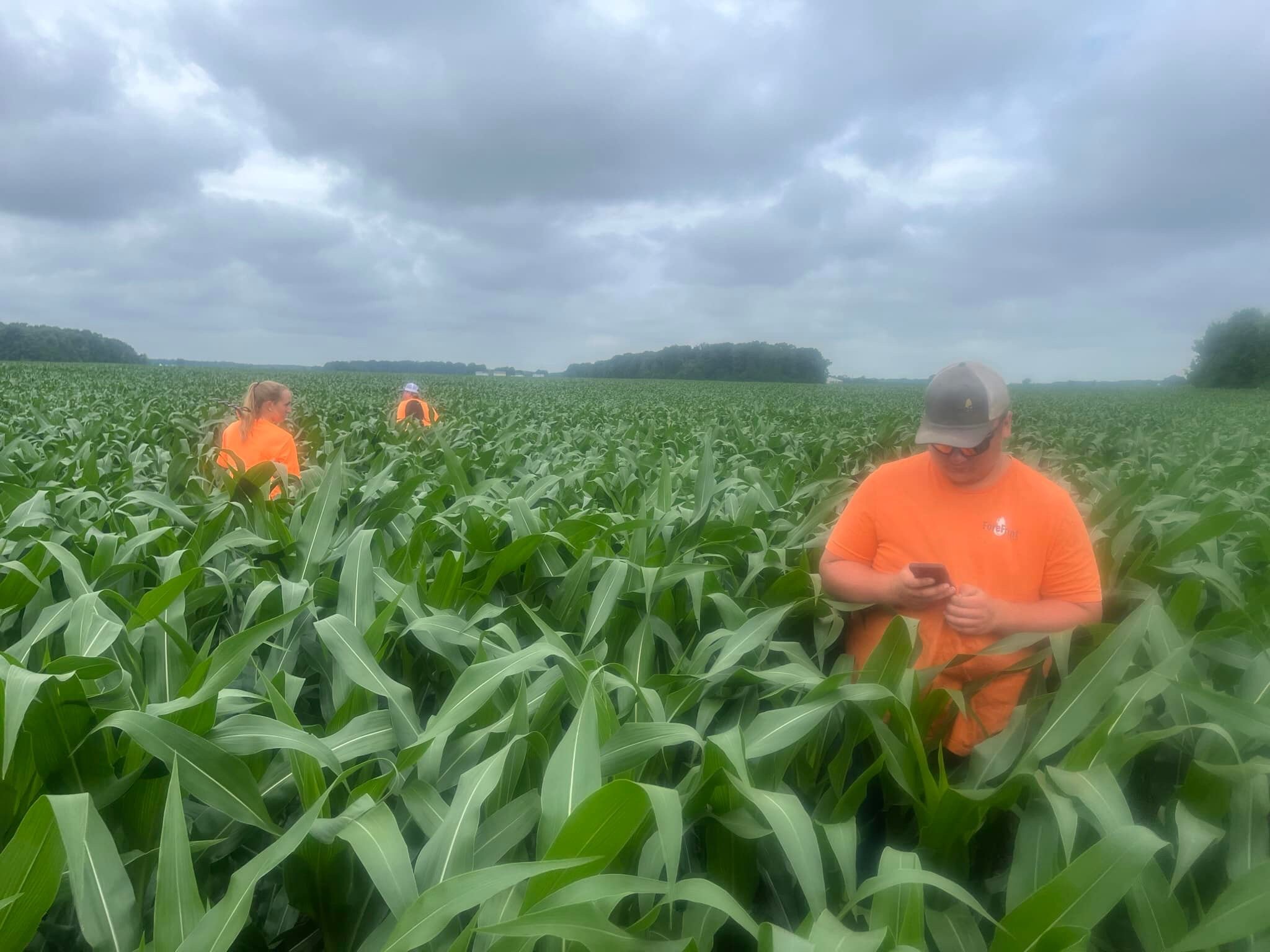 TrailBlazing Crop Monitoring