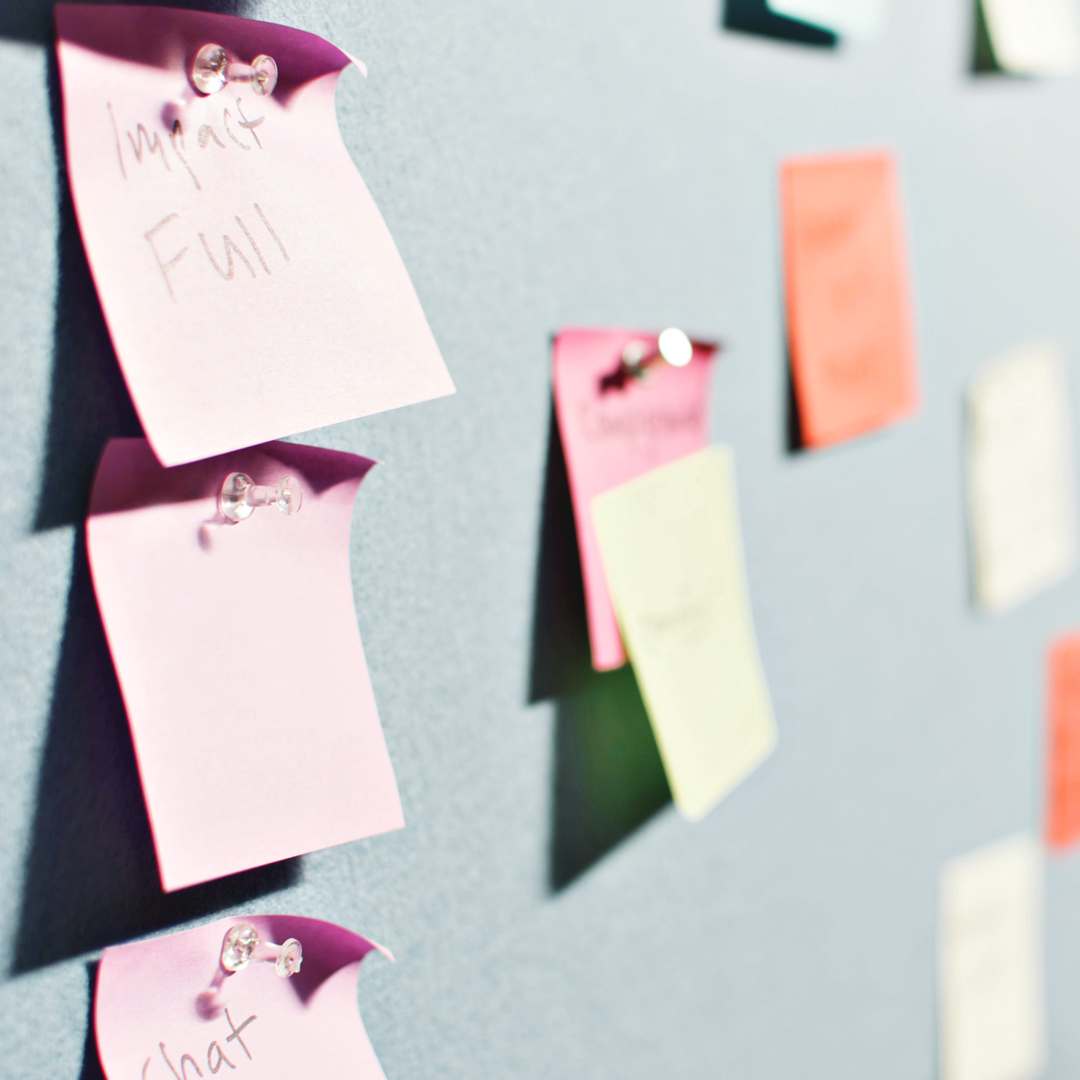 projectmanagement.png