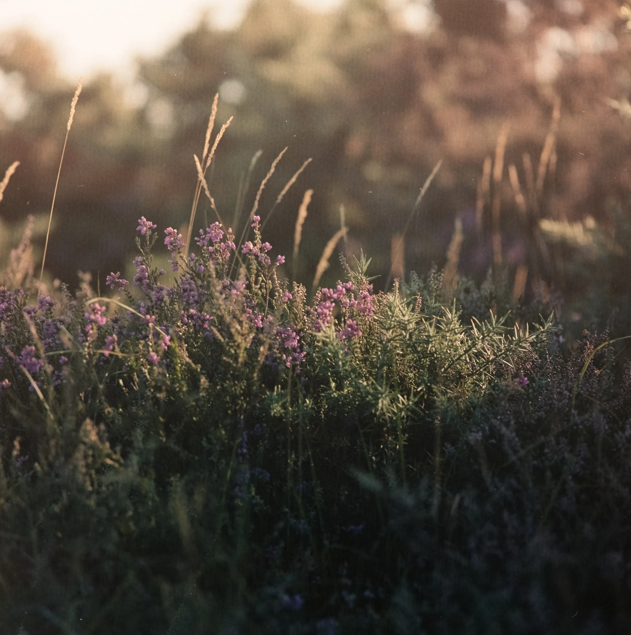 hand-drawn armchair icon