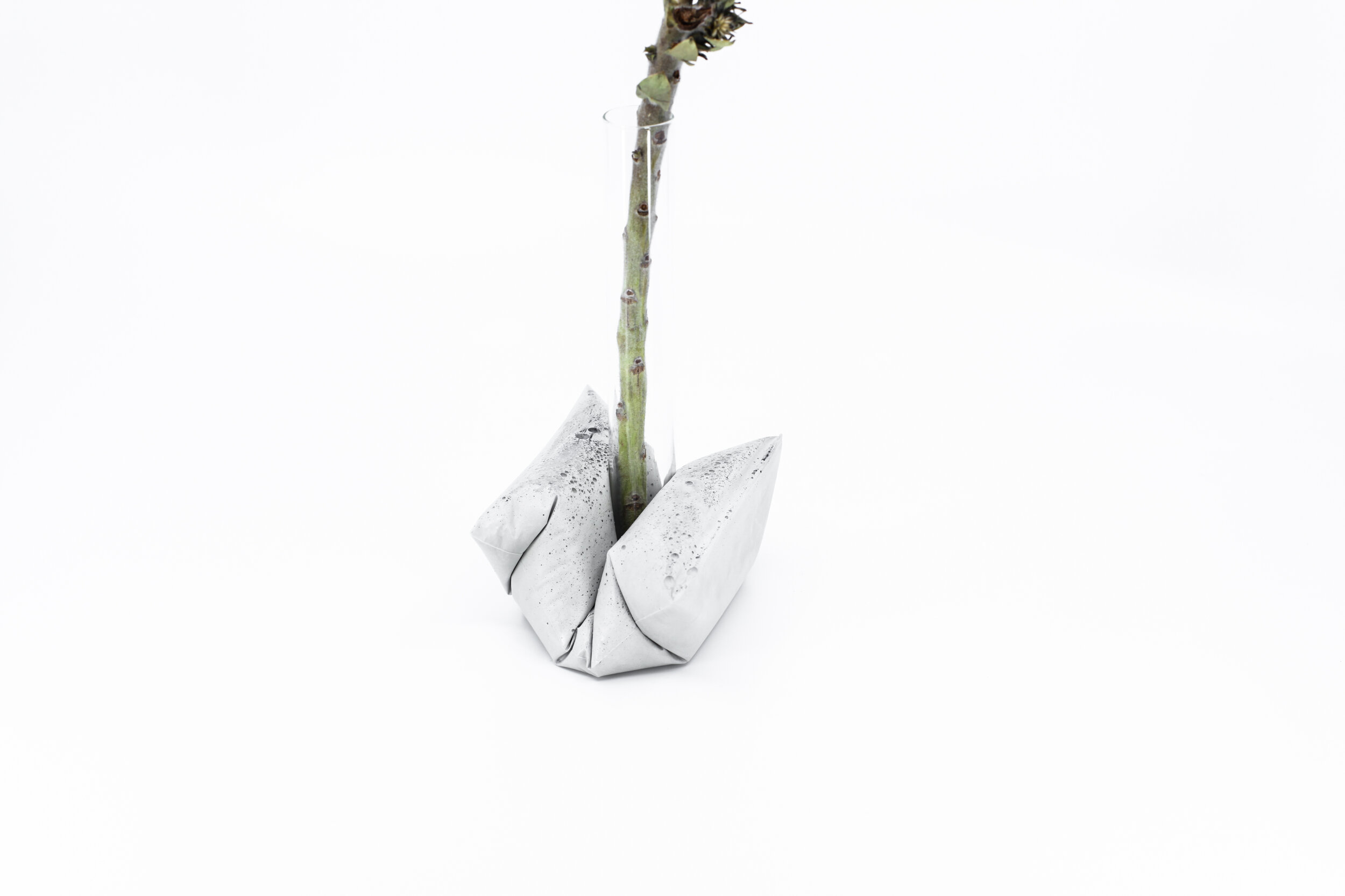 TINY DOT-BUD-4.jpg