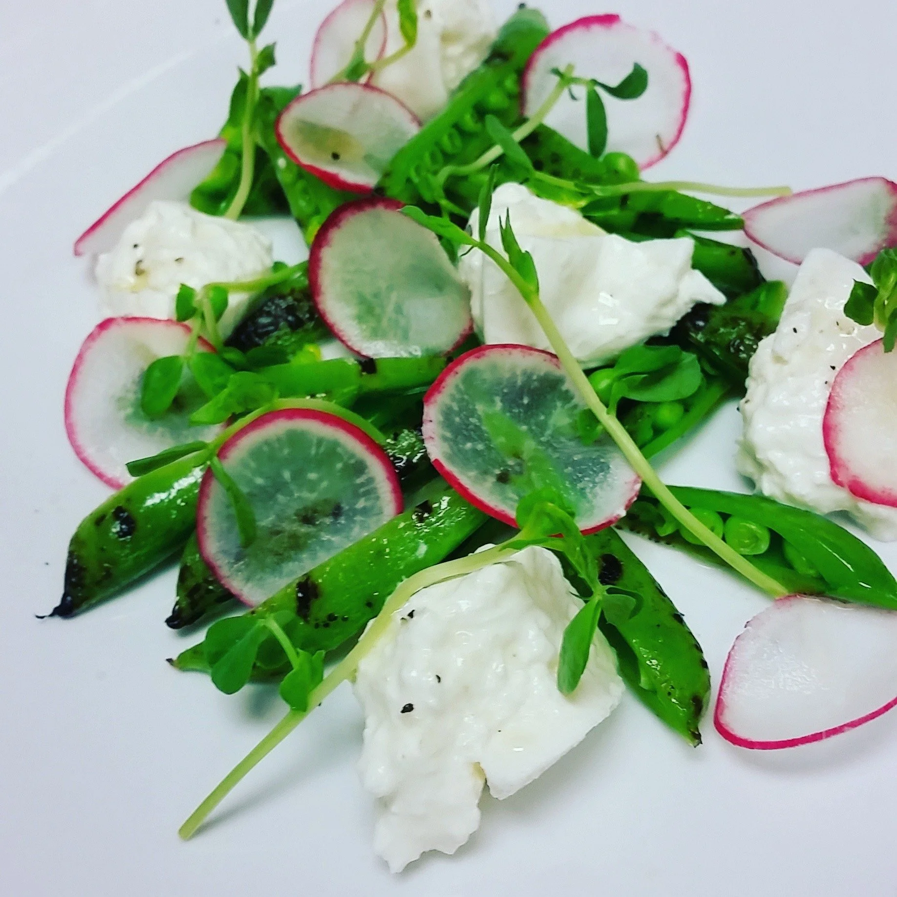 Charred Snap Pea & Burrata Salad