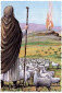 Of Hippies and Sheep