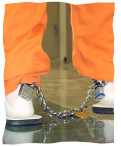 Fly Like a Jailbird