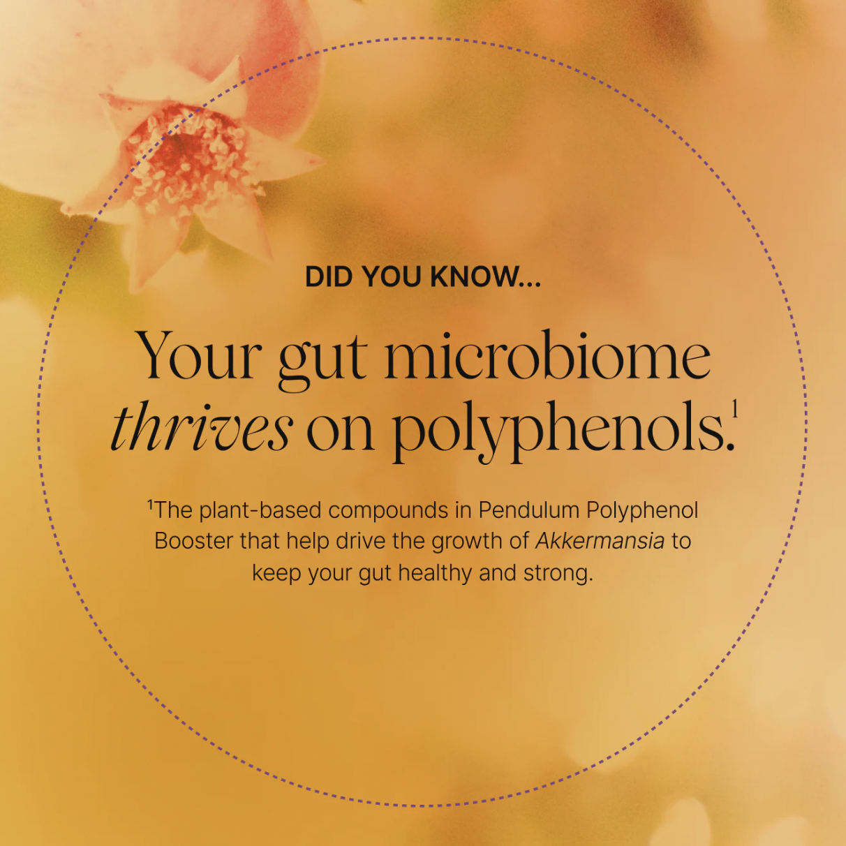 Screen Shot 2026-01-29 at 10.53.23 AM.png