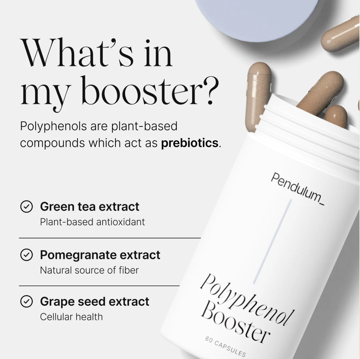 Screen Shot 2026-01-29 at 10.53.50 AM.png