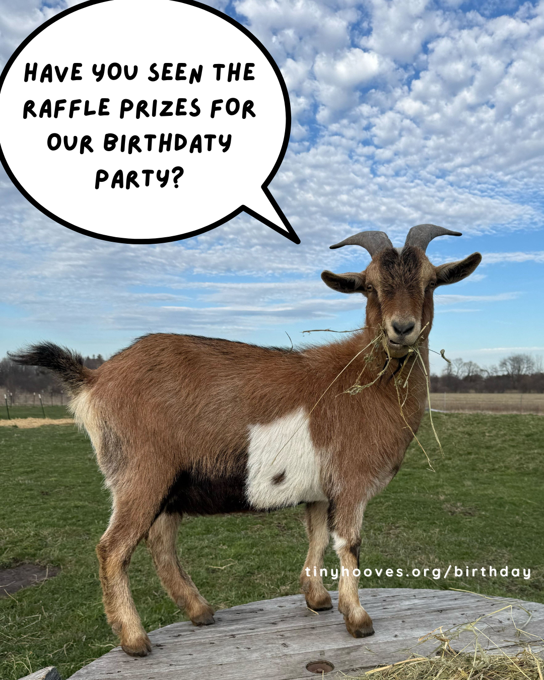 RAFFLE - PEPPER (2).png
