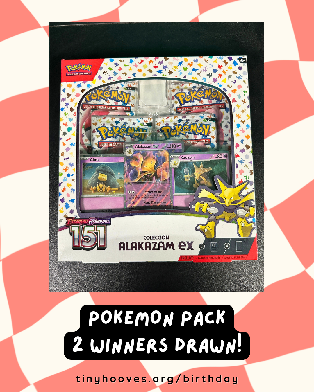 RAFFLE - POEKMON.png