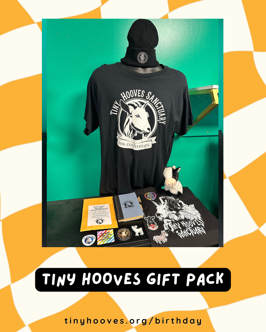 RAFFLE - THS GIFT PACK.png