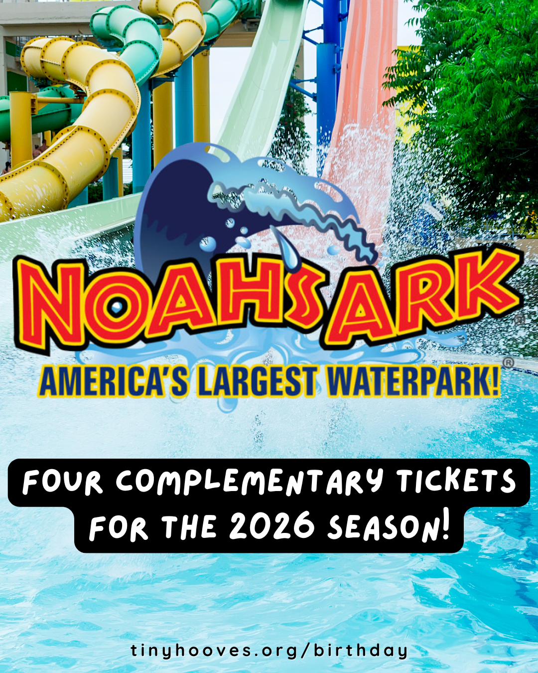 RAFFLE - NOAHS ARK.png