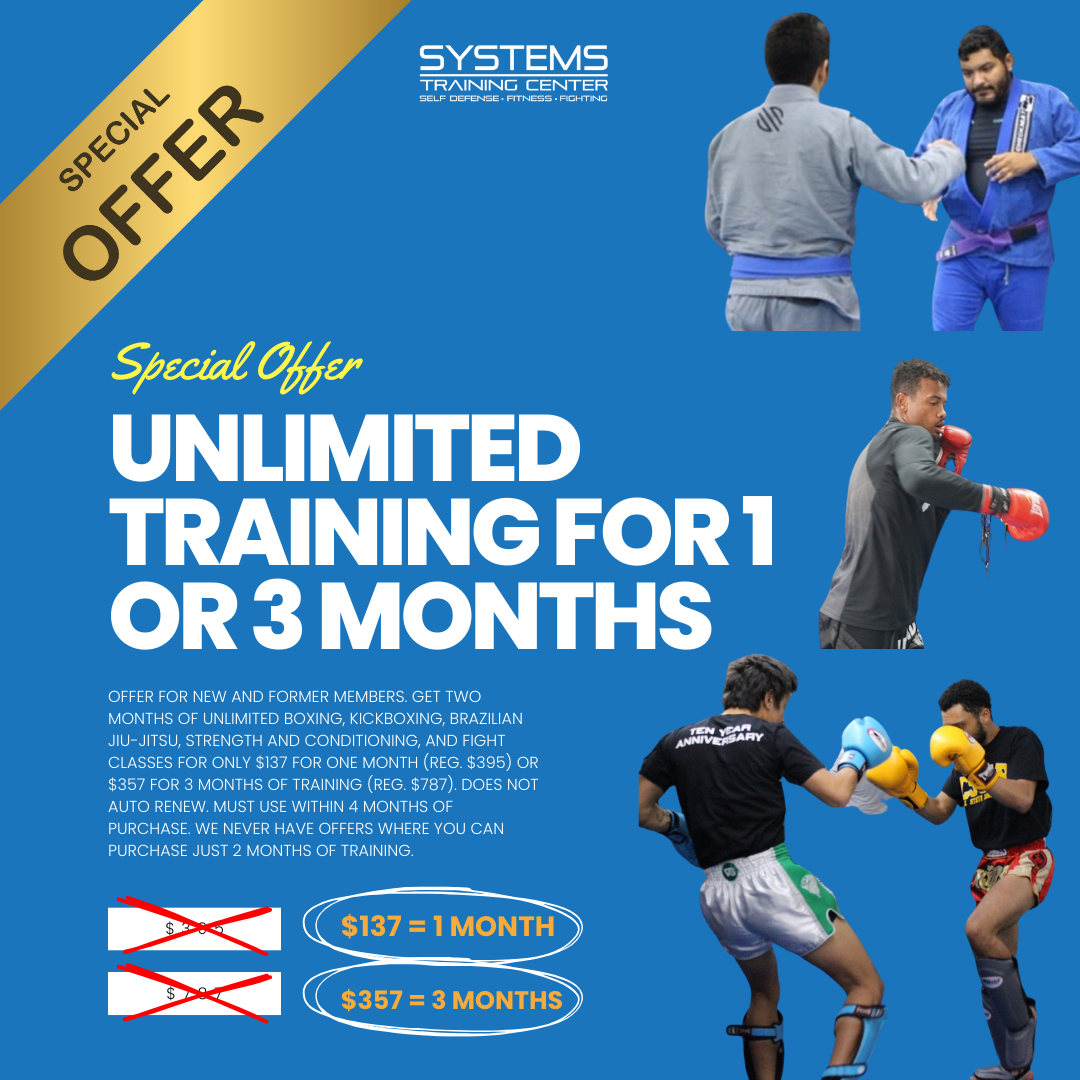 BLACK FRIDAY SALES.png