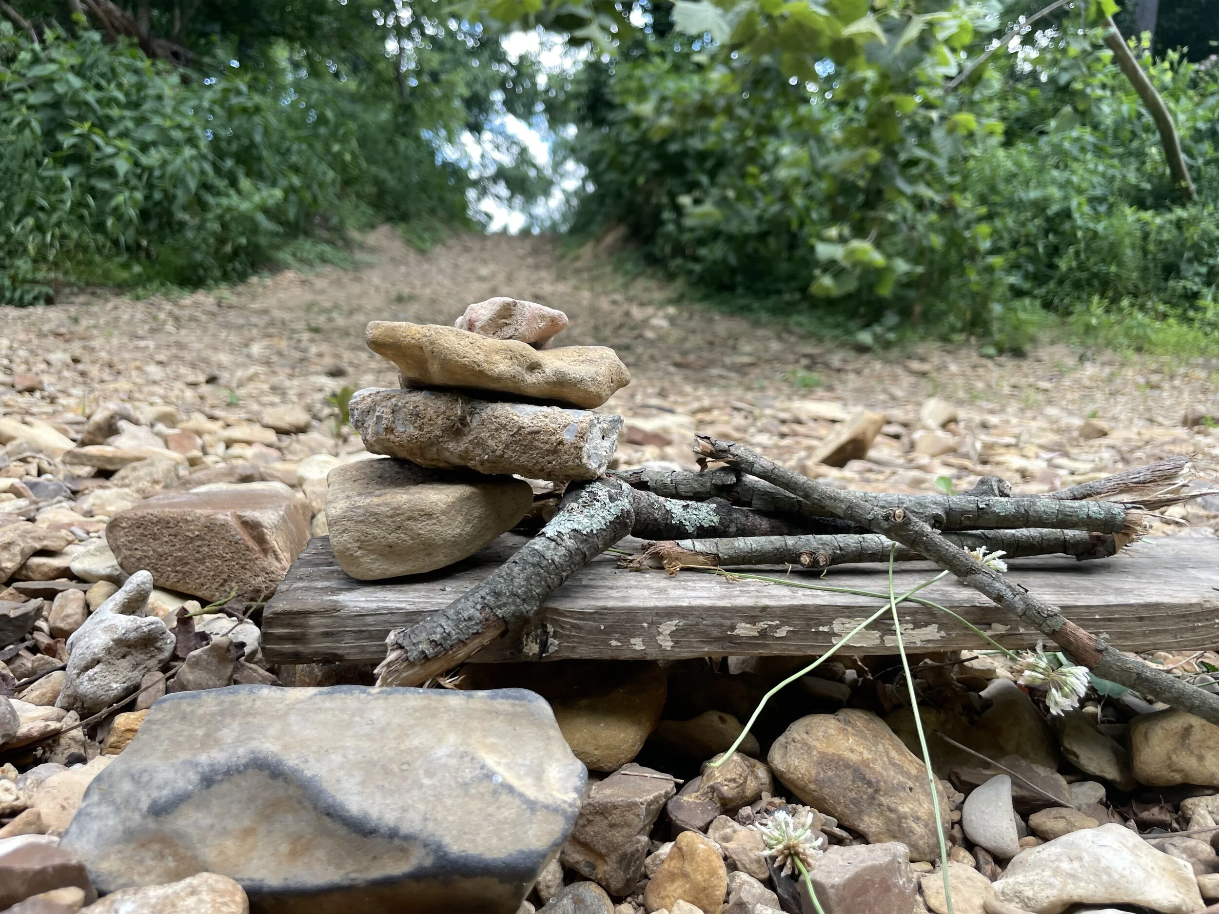 Stack of small rocks on wooden board with sticks and stones, surrounded by sparse greenery and a rocky path.